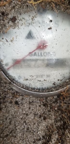 20190703_170831.jpg