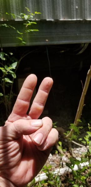 20190705_133406.jpg