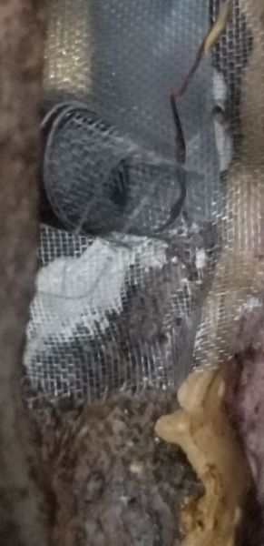20190708_201446.jpg
