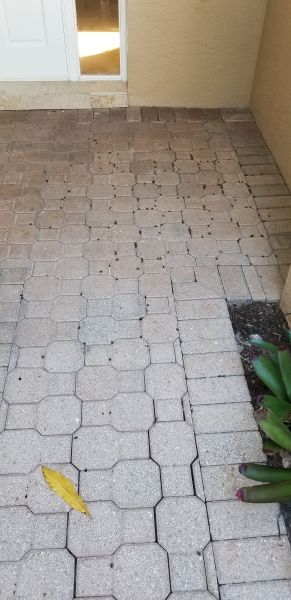 20191108_131948.jpg