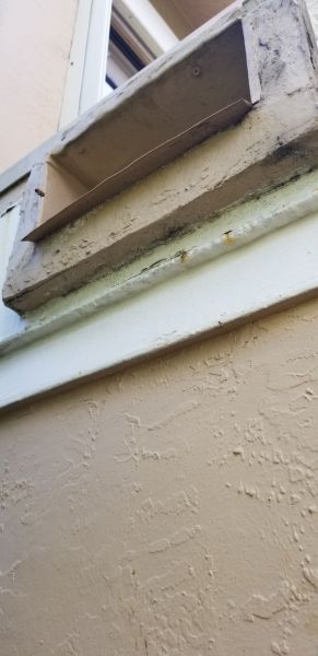 20191108_132559.jpg