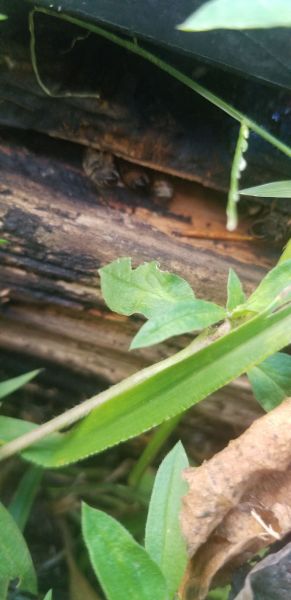 20191110_170647.jpg
