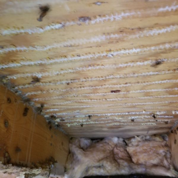 20191119_093050.jpg