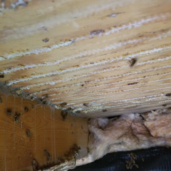 20191119_093055.jpg