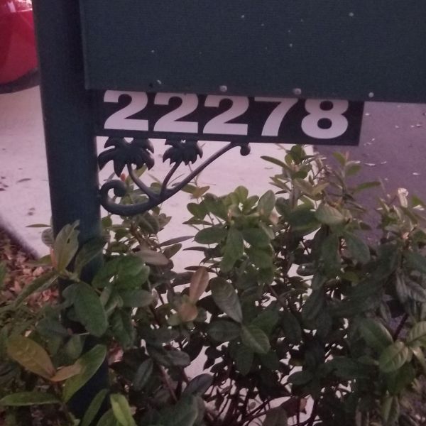 20191119_174458.jpg