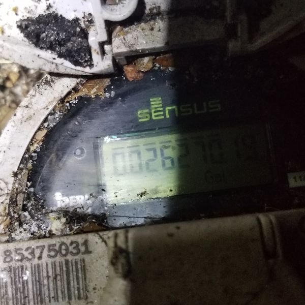 20191119_175346.jpg