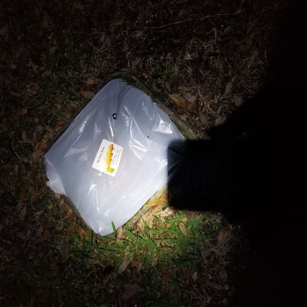 20191119_180044.jpg