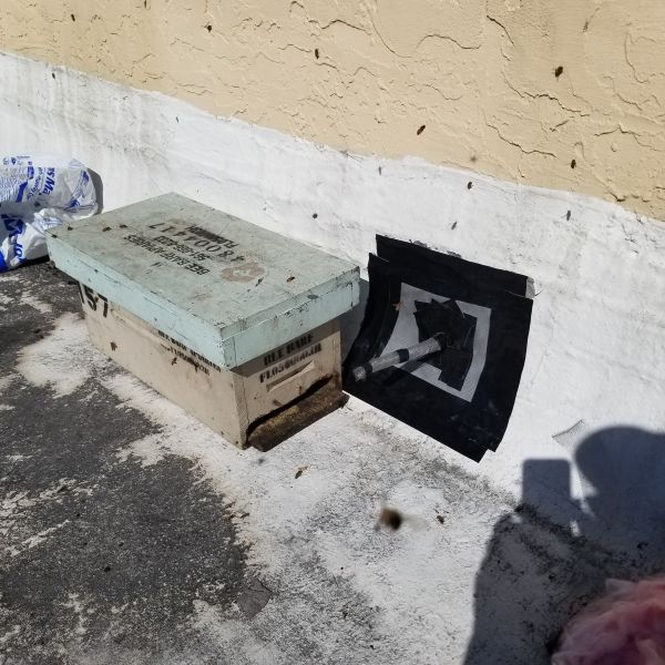 20191126_104531.jpg