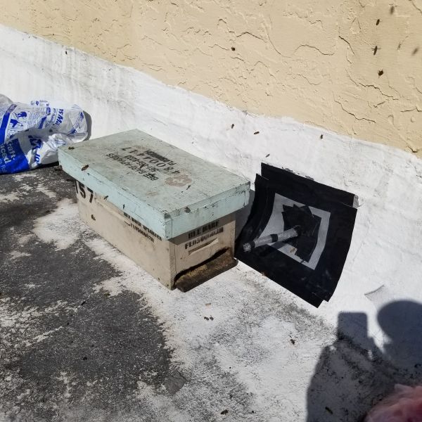 20191126_104537.jpg