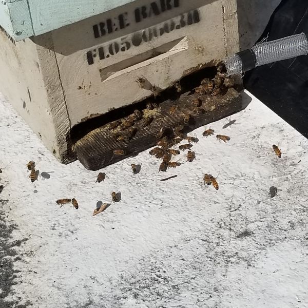 20191126_104903.jpg