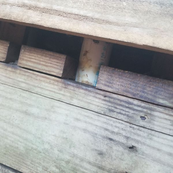 20191130_084857.jpg