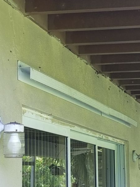 20200824_125240.jpg