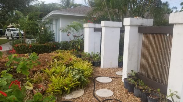 20200916_185223.jpg