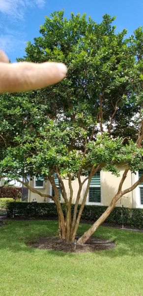 20200924_152742.jpg