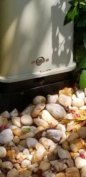 20200925_123038.jpg