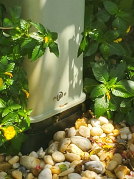 20200925_123040.jpg
