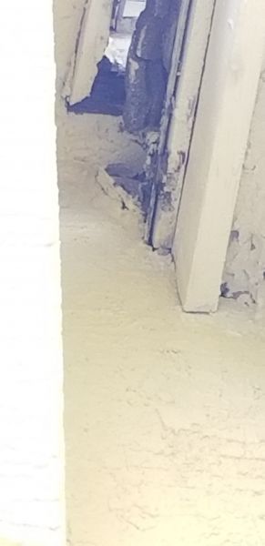 20200929_123131.jpg
