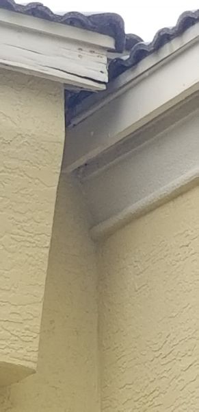 20200929_123425.jpg