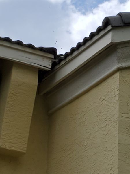 20200929_123431.jpg