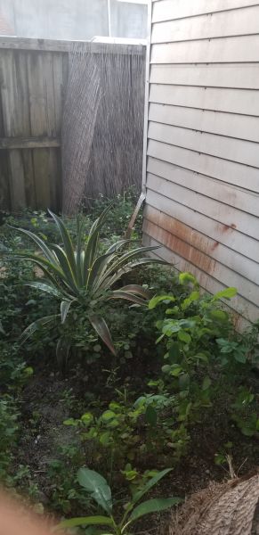 20201005_190106.jpg