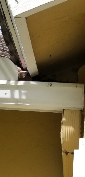 20201006_160257.jpg