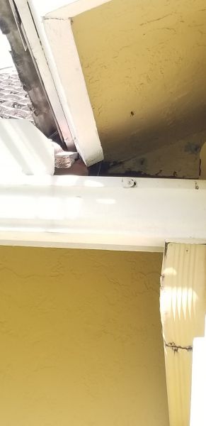 20201006_160301.jpg
