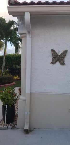 20201028_180857.jpg
