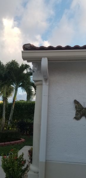 20201028_180903.jpg