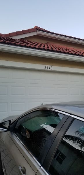 20201103_170826.jpg