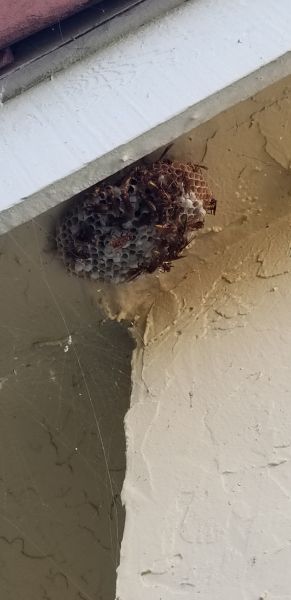 20201103_170930.jpg