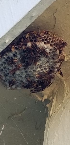 20201103_171032.jpg