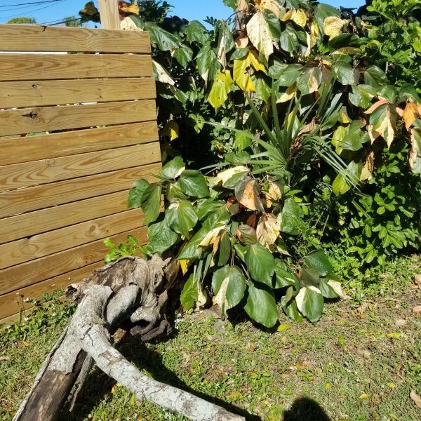 20201208_120140.jpg