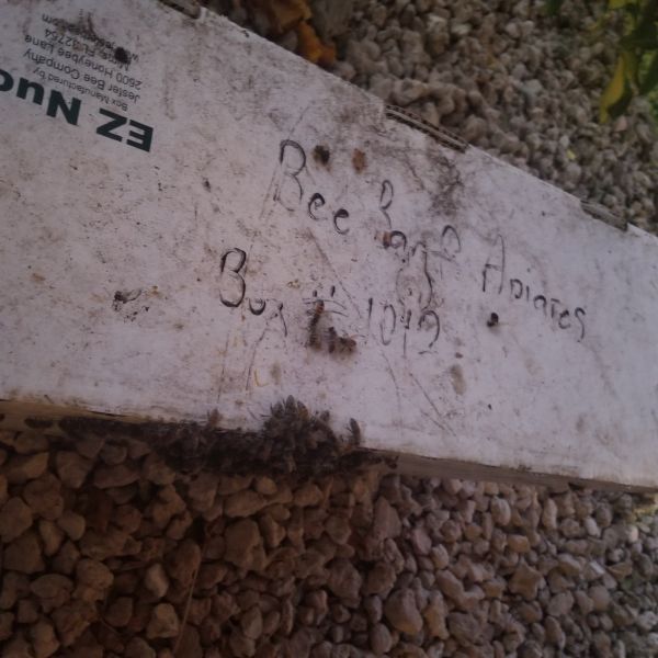 20201208_174234.jpg