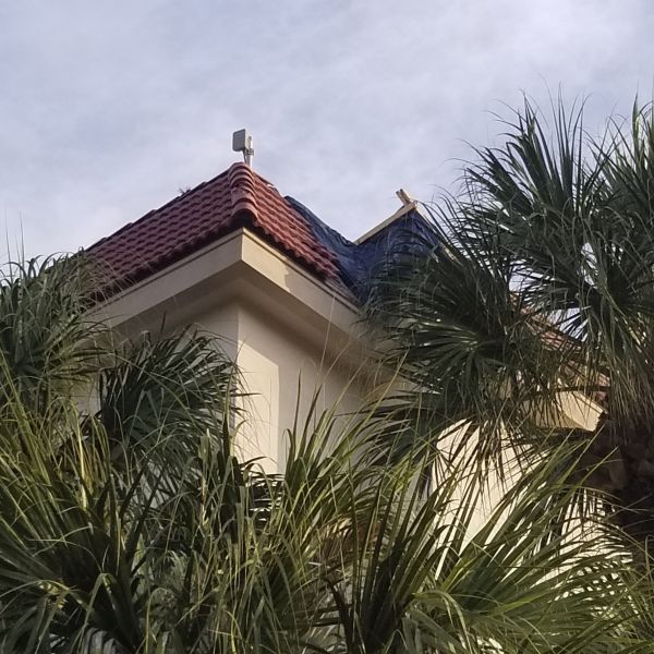 20201215_075401.jpg