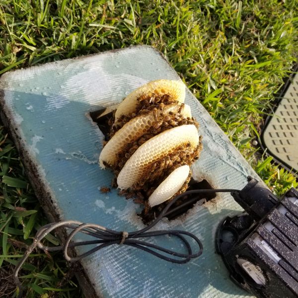 20201216_160253.jpg