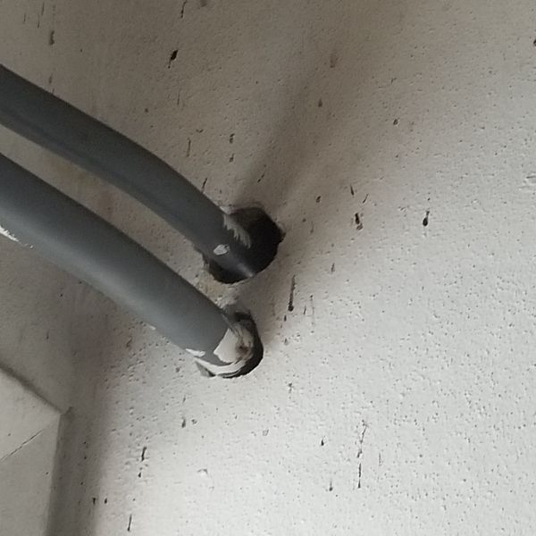 20201217_115530.jpg