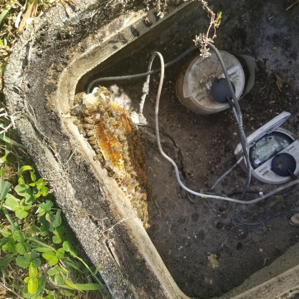 20201223_110236.jpg