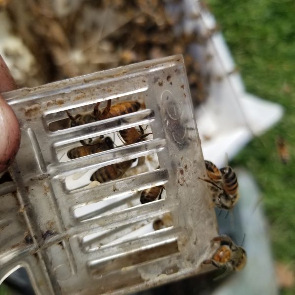 20201223_123525.jpg