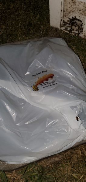 20210224_191749.jpg