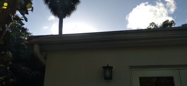 20210311_165552.jpg
