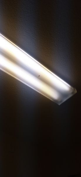20210319_165053.jpg