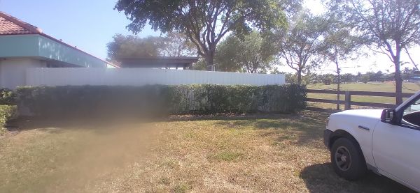 20210408_162120.jpg