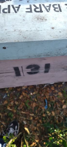 20210408_164433.jpg