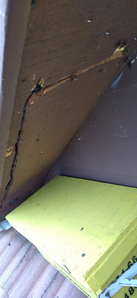 20210421_111540.jpg