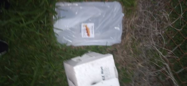 20210428_200513.jpg