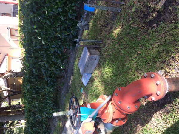 Photo_Aug_092C_5_44_01_PM.jpg