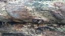 Filename=2016-12-20_15_26_55.jpg
Filesize=1269KiB
Dimensions=2829x1590
Date added=Dec 20, 2016 2016-12-20_15_26_55.jpg