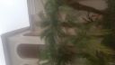 20160712_193656.jpg