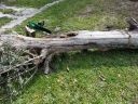 20170320_15134928smaller29.jpg
