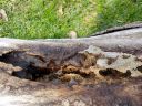 20170320_151404.jpg